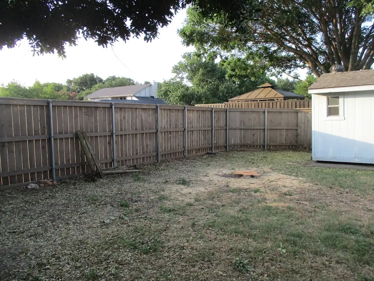 Cleared yard after professional tree removal in Memphis